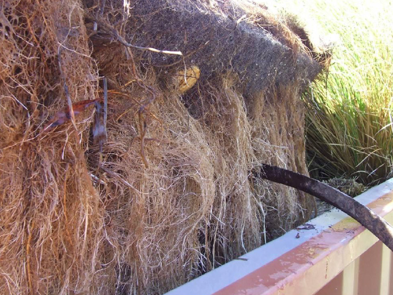 百奧源®浮動濕地根系發(fā)達(dá)，密度大大高于人工濕地