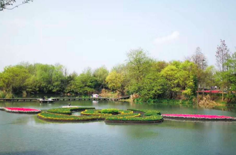 浮島濕地 浮島濕地